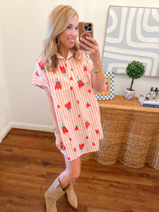 Poppy VNeck Shirt Dress