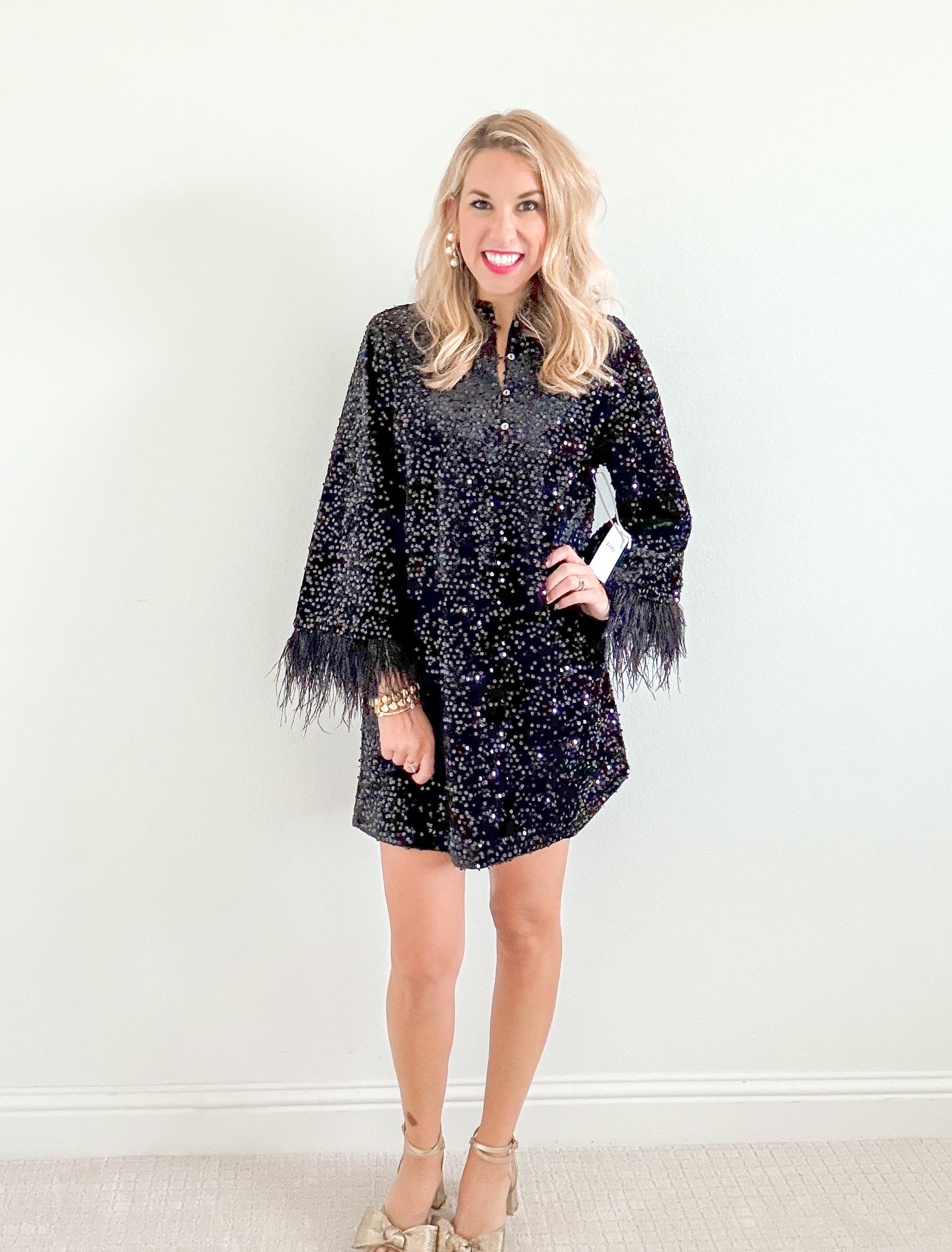 Britt Feather Sleeve Dress